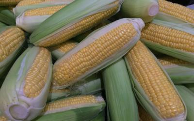 Mexican Style Cream Corn