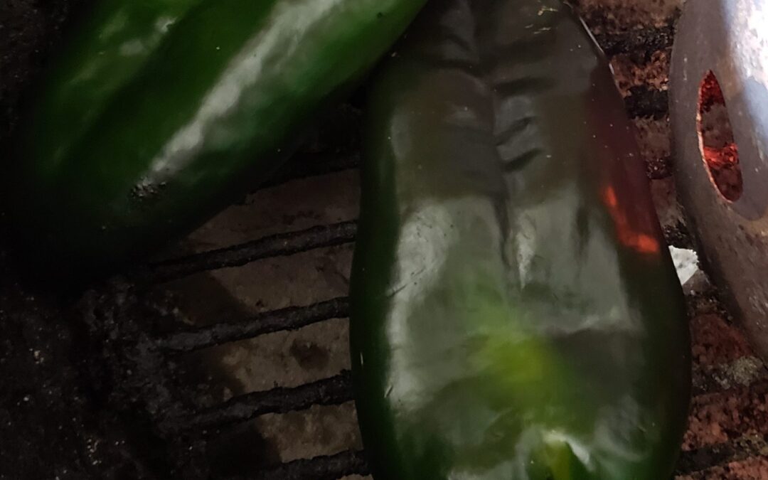 Poblano – Tomatillo Sauce