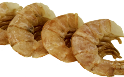Boiled Shrimp