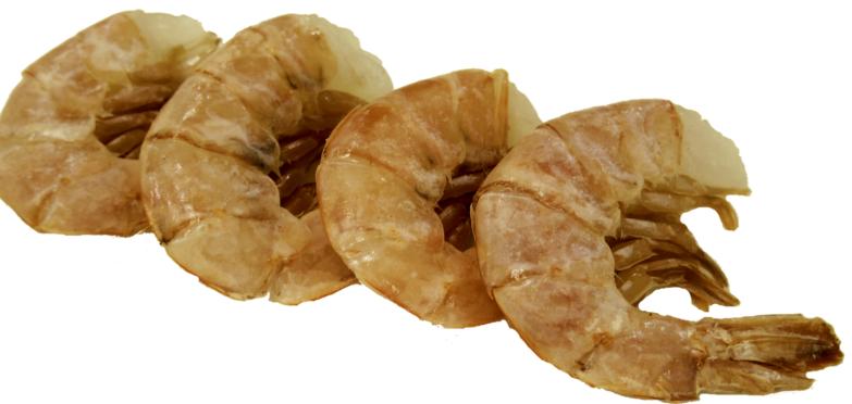 shrimp-png